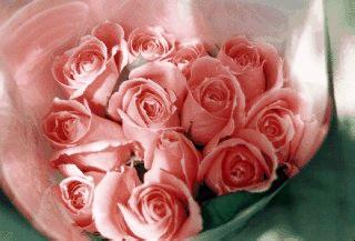 12roses.jpg (15625 bytes)