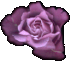 flower.gif (4100 bytes)